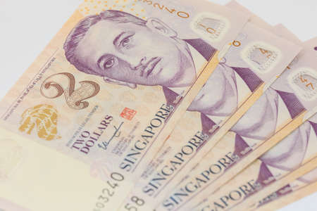bank note singapore dollars closeup detail viewの写真素材