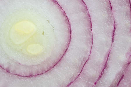 cut red onion ring closeup macro viewの写真素材