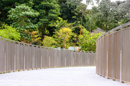 forest low angle view from curve bridgeの写真素材