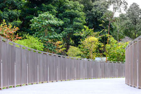 forest low angle view from curve bridgeの写真素材