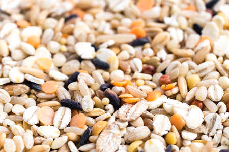 colorful mixed grain closeup detail view backgroundの写真素材