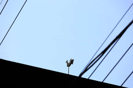 Chicken weather vane on a roof with blue sky