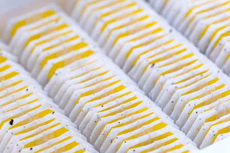 Teabag close-up macro view in tea packagingの写真素材
