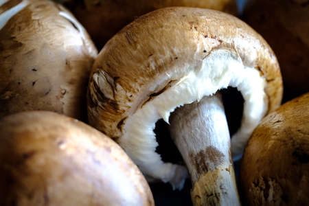 Fresh brown color champignon mushrooms closeup viewの写真素材