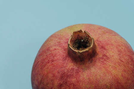red pomegranate on blue background isolated viewの写真素材