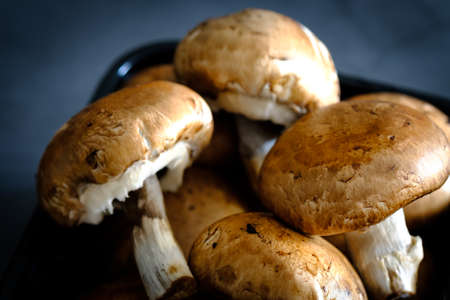 Set of brown mushrooms in a black box on a gray backgroundの写真素材