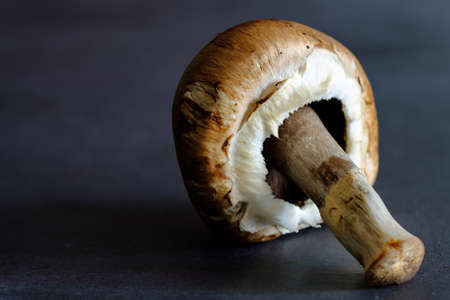 Fresh champignon mushroom on dark background, closeup. Space for textの写真素材