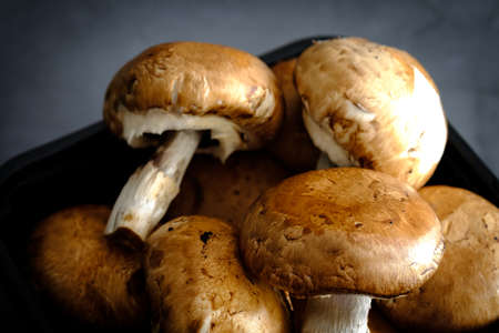 Set of brown mushrooms in a black box on a gray backgroundの写真素材