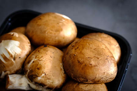 Set of brown mushrooms in a black box on a gray backgroundの写真素材
