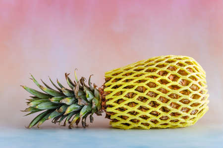 Pineapple on a bright background with copy spaceの写真素材