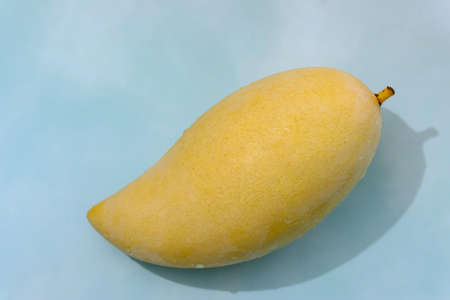 Fresh mango fruit on a light blue background with copy spaceの写真素材