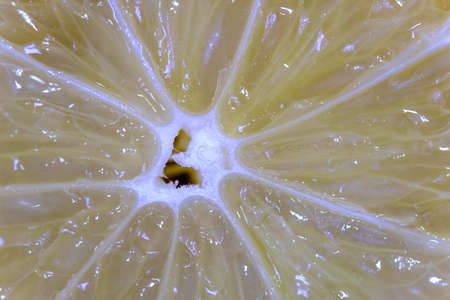 Top view of lemon fruit slice macro viewの写真素材