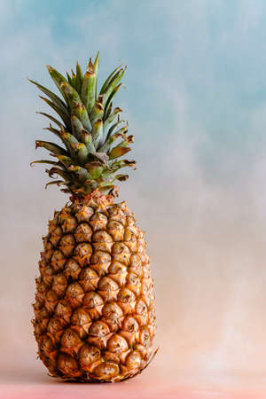 Pineapple on a bright background with copy spaceの写真素材