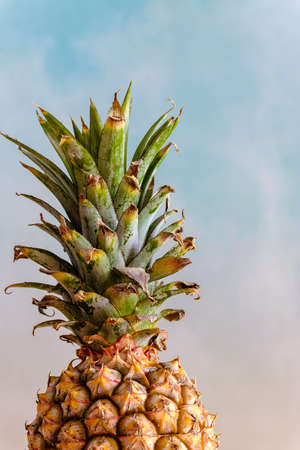 Pineapple on a bright background with copy spaceの写真素材