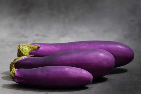 eggplant isolated on dark grey background with copy spaceの写真素材