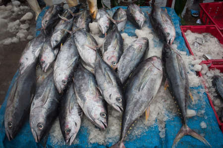 Fresh fish in the market at Hue province, VietNamの写真素材