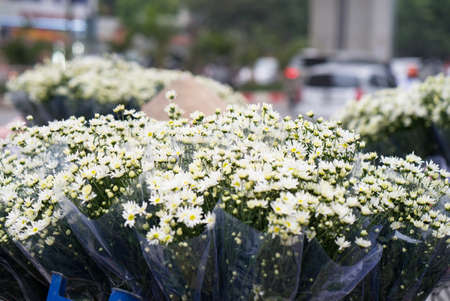 Close up of white daisy bunchesの写真素材