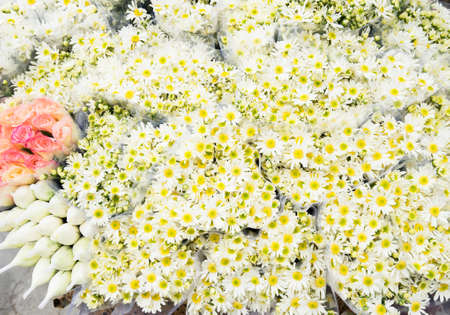 Close up of white daisy bunchesの写真素材