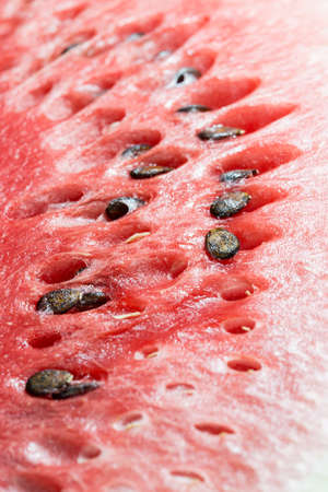 detailed closeup of watermelonの写真素材