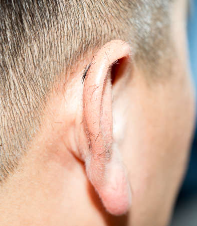 men's groomingの写真素材