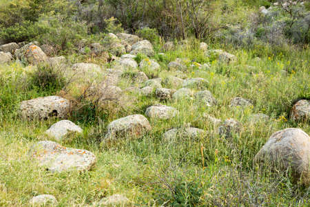 many large round stones and grassの写真素材