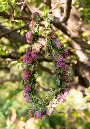 circle of flowers hanging on a tree branchの写真素材