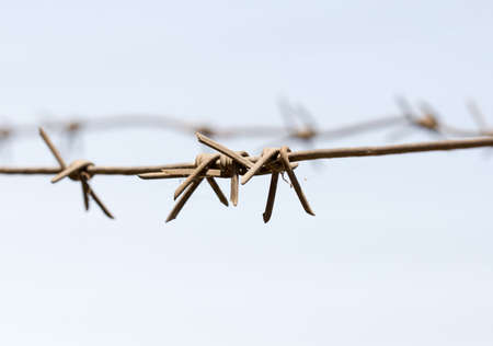 barbed fence