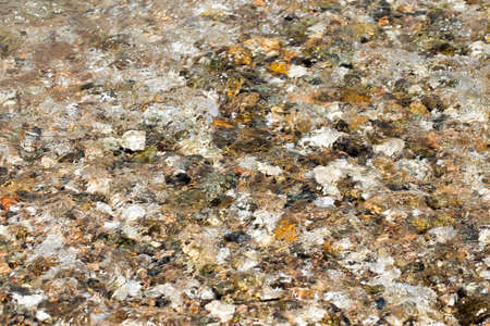 colorful rolling stones sea bottom pattern musk seaweedの写真素材