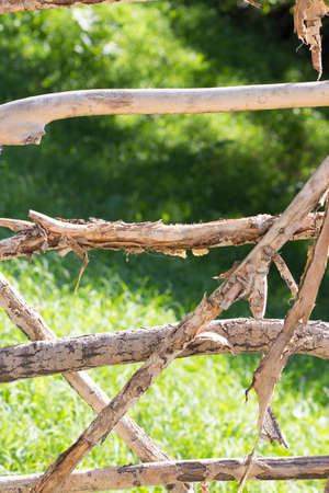 Old wooden fence on green meadowの写真素材