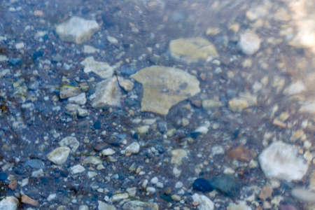 colorful rolling stones sea bottom pattern musk seaweedの写真素材