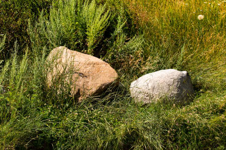 two large stones in a green grass are a confidence and tranquillity symbolの写真素材