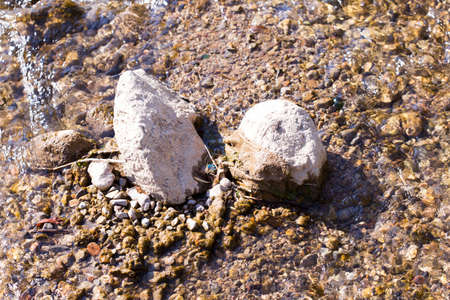 colorful rolling stones sea bottom pattern musk seaweedの写真素材
