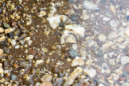 colorful rolling stones sea bottom pattern musk seaweedの写真素材