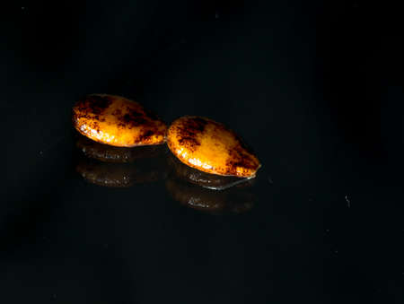 watermelon seed on the background of dark glass macroの写真素材