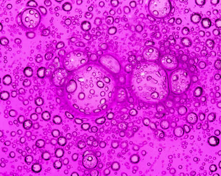 purple bubbles in water close-up abstract backgroundの写真素材