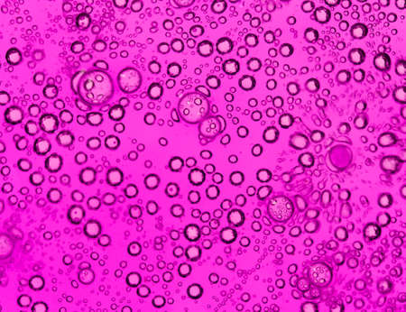 purple bubbles in water close-up abstract backgroundの写真素材
