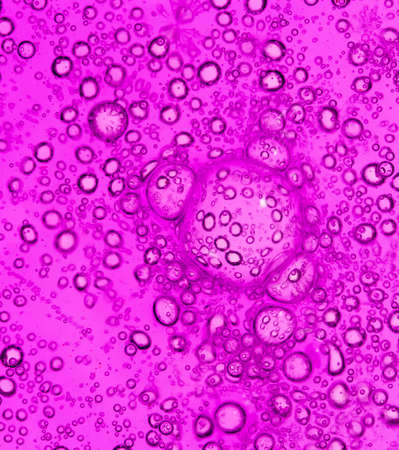 purple bubbles in water close-up abstract backgroundの写真素材