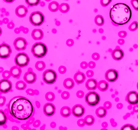 purple bubbles in water close-up abstract backgroundの写真素材