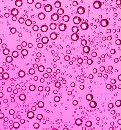 purple bubbles in water close-up abstract backgroundの写真素材