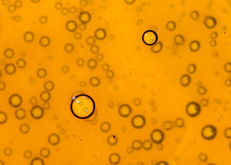 water drops on beer backgroundの写真素材