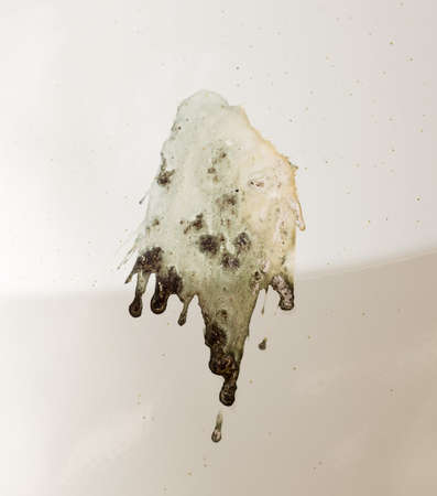 Splatter of bird poop outdoors on car varnish.の写真素材