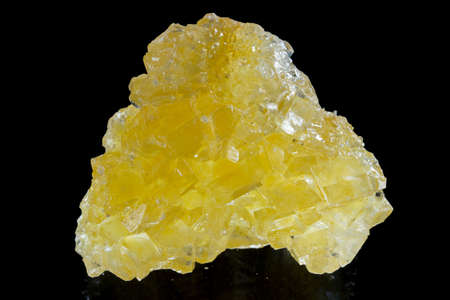 yellow rock sugar and rock sugar cane on a black backgroundの写真素材