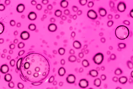 purple bubbles in water close-up abstract backgroundの写真素材