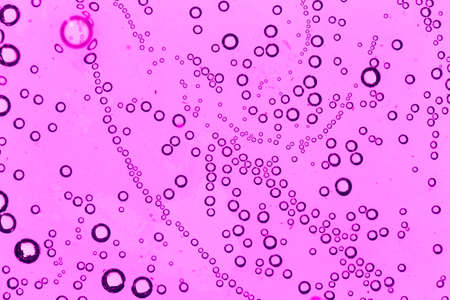 purple bubbles in water close-up abstract backgroundの写真素材