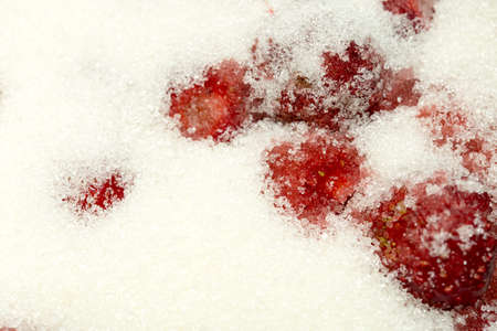 strawberry and sugar for jam preparation for winterの写真素材