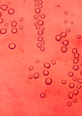 red bubbles in the water close-up