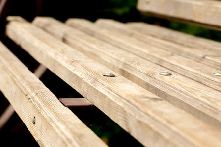 bench in the autumn parkの写真素材