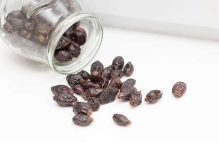 briarの写真素材