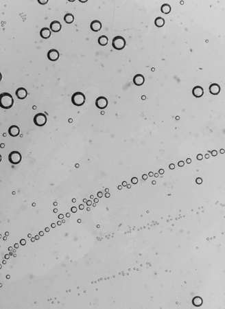 bubbles in water close-up black-and-white backgroundの写真素材