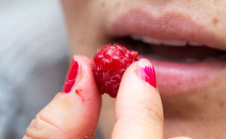 Girl eats raspberries macroの写真素材